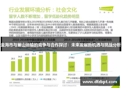 金海市与釜山运输的竞争与合作探讨：未来发展新机遇与挑战分析